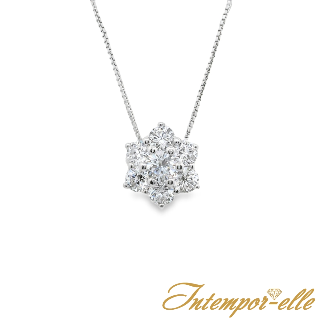 CL OR 18 CT ENTOURAGE OXZ 